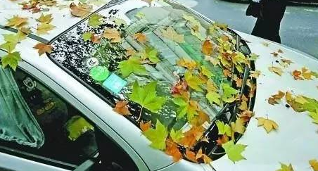 秋季檢查這7 個(gè)部件讓愛車告別8個(gè)夏季“后遺癥” 秋季檢查這7 個(gè)部件讓愛車告別8個(gè)夏季“后遺癥”