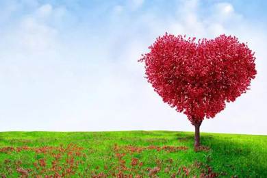 愛心灑人間，走進(jìn)新時代..........倒計時兩天