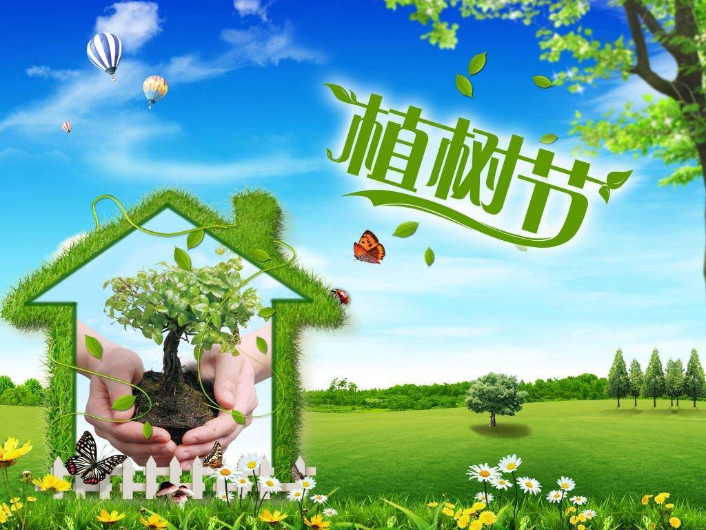 北京現(xiàn)代“智現(xiàn)代，植未來”，你我共建森林邵陽